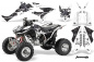 Preview: Toxicity Background = White, Design color = Black for Honda TRX 450R 2004-2016