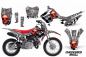 Preview: Checkered Skull Hintergrund = Silber, Designfarbe = Rot mit Nummernfeldern für Honda CRF110 F 2013-2018