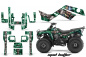 Preview: Mad Hatter Hintergrund = Grün, Designfarbe = Silber für Kawasaki KLF 220/250/300 Bayou