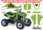 Preview: SilverStar - Reloaded Hintergrund = Grün, Designfarbe = Schwarz für Suzuki LTZ 400 2003-2008
