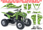 Preview: SilverStar - Silverhaze Hintergrund = Grün, Designfarbe = Schwarz für Suzuki LTZ 400 2003-2008