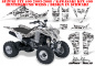 Preview: SilverStar - Silverhaze Hintergrund = Weiß, Designfarbe = Schwarz für Suzuki LTZ 400 2003-2008