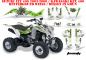 Preview: Toxicity Hintergrund = Weiß, Designfarbe = Grün für Suzuki LTZ 400 2003-2008