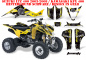 Preview: Toxicity Hintergrund = Schwarz, Designfarbe = Gelb für Suzuki LTZ 400 2003-2008