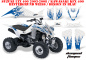 Preview: Diamond Flames Hintergrund = Weiß, Designfarbe = Blau für Suzuki LTZ 400 2003-2008