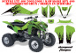 Preview: Diamond Flames Hintergrund = Grün, Designfarbe = Schwarz für Suzuki LTZ 400 2003-2008