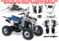 Preview: Mad Hatter Hintergrund = Weiß, Designfarbe = Schwarz für Suzuki LTZ 400 2003-2008