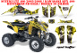 Preview: Mad Hatter Hintergrund = Gelb, Designfarbe = Silber für Suzuki LTZ 400 2003-2008