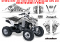 Preview: Deaden White for Suzuki LTZ 400 2003-2008