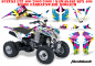 Preview: Flashback für Suzuki LTZ 400 2003-2008