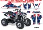 Preview: Rebel für Kawasaki KFX 400 2003-2008