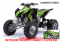 Preview: Diamond Flames Hintergrund = Grün, Designfarbe = Schwarz für Kawasaki KFX 450