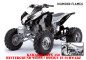 Preview: Diamond Flames Hintergrund = Weiß, Designfarbe = Schwarz für Kawasaki KFX 450