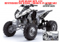 Preview: SilverStar - Silverhaze Hintergrund = Weiß, Designfarbe = Schwarz für Kawasaki KFX 450