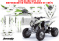 Preview: Toxicity Hintergrund = Weiß, Designfarbe = Grün für Kawasaki KFX 450