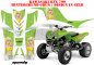 Preview: Mandy Background = Green, Design color = Yellow for Kawasaki KFX 700