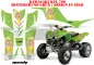 Preview: Mandy Background = Green, Design color = Yellow for Kawasaki KFX 700