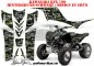Preview: SilverStar - Silverhaze Background = Black, Design color = Green for Kawasaki KFX 700