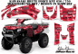 Preview: SilverStar - Silverhaze Background = Red, Design color = Black for Kawasaki Brute Force KVF 650i 4x4 2006-2012