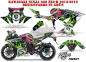 Preview: Frenzy Grün für Kawasaki Ninja 636 ZX-6R 2013-2016
