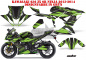 Preview: Nuke Grün für Kawasaki Ninja 636 ZX-6R 2013-2016