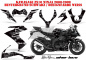 Preview: SilverStar - Silverhaze Hintergrund = Schwarz, Designfarbe = Weiß für Kawasaki ZX10 Ninja Sport 2008-2009