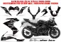 Preview: SilverStar - Silverhaze Hintergrund = Schwarz, Designfarbe = Weiß für Kawasaki ZX10 Ninja Sport 2008-2009