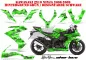 Preview: SilverStar - Silverhaze Hintergrund = Grün, Designfarbe = Schwarz für Kawasaki ZX10 Ninja Sport 2008-2009