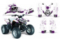 Preview: Brittany Hintergrund = Weiß, Designfarbe = Lila für Polaris Predator 90