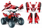 Preview: Infinity Rot für Polaris Predator 90