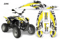 Preview: Expo Gelb für Polaris Scrambler 1985-2009