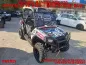 Preview: Frenzy Hintergrund = Weiß, Designfarbe = Blau für Polaris Ranger RZR 570