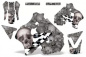 Preview: Checkered Skull Hintergrund = Silber, Designfarbe = Silber ohne Nummernfeldern für Suzuki RM 250 1996-1998