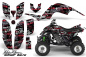 Preview: SilverStar - Silverhaze Background = Black, Design color = Red for Yamaha Raptor YFM 660
