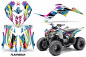 Preview: Flashback für Yamaha Raptor 90 2009-2015