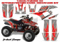 Preview: Tribal Flames Hintergrund = Silber, Designfarbe = Rot für Yamaha Warrior YFM 350