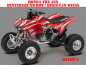 Preview: Racer-X Background = Red, Design color = White for Honda TRX 450R 2004-2016