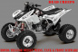 Preview: Head Creeps Black-White for Honda TRX 450R 2004-2016