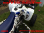 Preview: Joker Hintergrund Weiß, Jokerfarbe Blau-Weiß für Suzuki LTZ 400 2003-2008