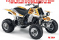 Preview: Nitro Weiß, Feuerfarbe = Natürlich für Yamaha Banshee YFZ 350