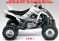 Preview: Racer-X Hintergrundfarbe = Weiß, Designfarbe = Silber für Yamaha Raptor YFM 700 R up 2013+