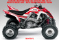 Preview: Racer-X Hintergrundfarbe = Weiß, Designfarbe = Rot für Yamaha Raptor YFM 700 R up 2013+