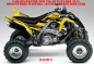 Preview: Racer-X Hintergrundfarbe = Gelb, Designfarbe = Schwarz für Yamaha Raptor YFM 700 R up 2013+