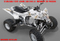 Preview: Zombie Outlaw Weiß für Yamaha YFZ 450R 2009-2013