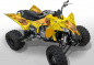 Preview: Beispiel für die Farben, Nitro Gelb, Feuerfarbe = Natürlich für Yamaha YFZ 450R up 2014+