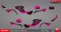 Preview: Stage Pink Standard Kit für CF-Moto CForce 600/625 S/L/Touring
