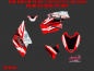 Preview: Spirit for Polaris Outlaw 450/500/525 up 2009+