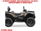 Preview: Petrol Head Beige-Grau für CF-Moto CForce 400/450/500/520 S/L ab 2022+
