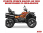 Preview: Acid Gelb-Orange für M Version CF-Moto CForce