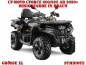 Preview: Symbiote Braun XL Version für CF-Moto CForce 600-625 S/L ab 2020+